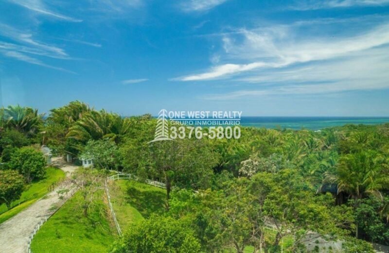Seaside Petite Farm: Coastal Elegance in Palmetto Bay, Roatan