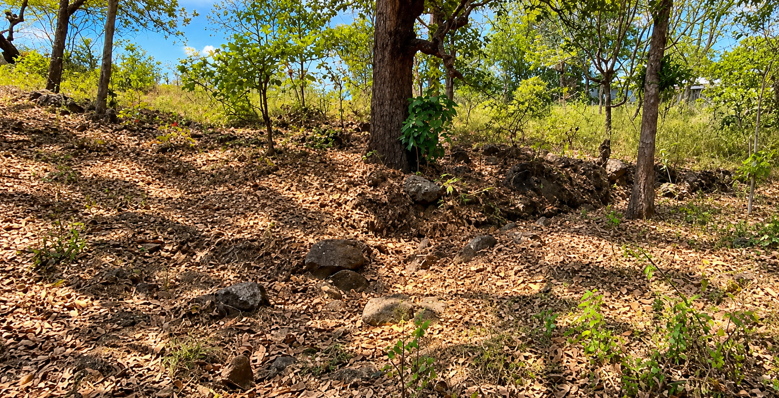 Lote en Venta – Uyuca, Carretera CA-6, Francisco Morazán