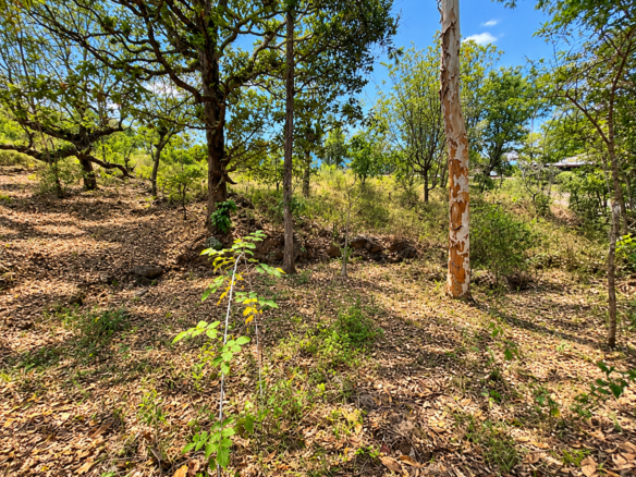 Lote en Venta – Uyuca, Carretera CA-6, Francisco Morazán