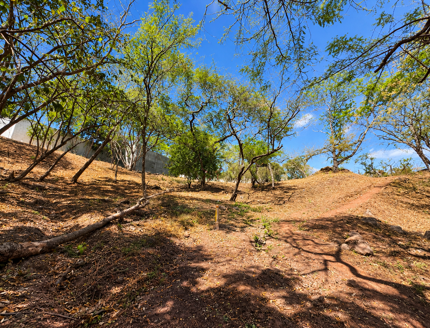 Terreno Residencial en Venta – San Ignacio, Tegucigalpa