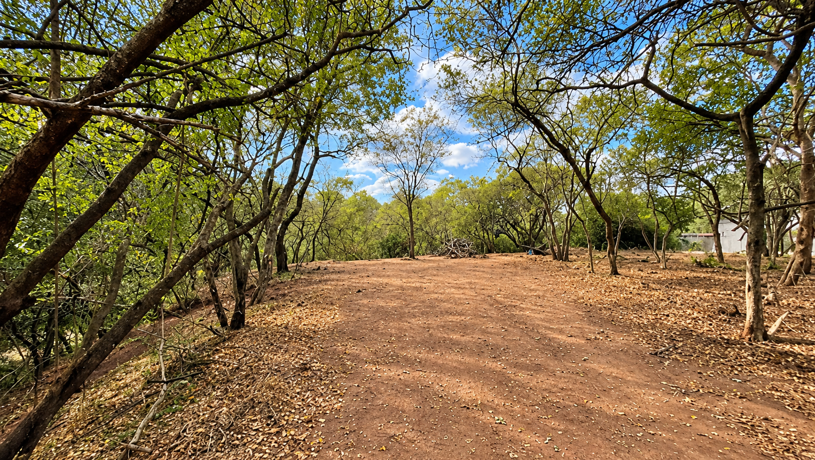 Terreno Residencial en Venta – San Ignacio, Tegucigalpa