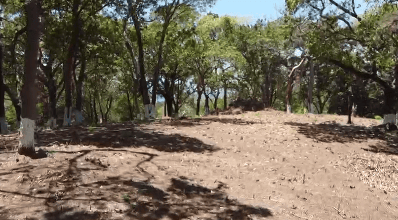 Investment Opportunity in Roatán, Bay Islands