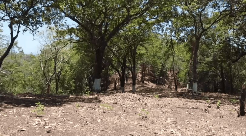 Investment Opportunity in Roatán, Bay Islands