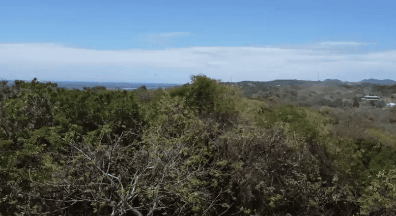 Investment Opportunity in Roatán, Bay Islands