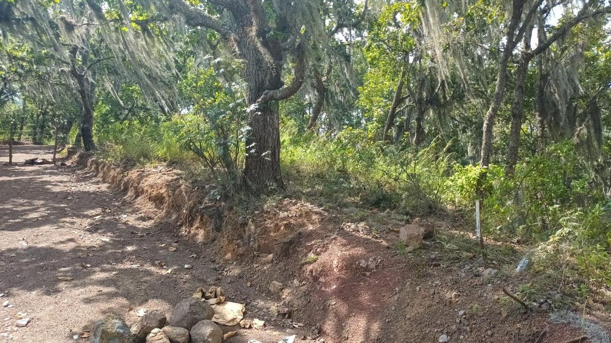 Terreno en Renta – Km 8 El Chimbo, Carretera a Santa Lucía, Tegucigalpa